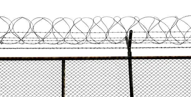 Photo of Barbed wire fence