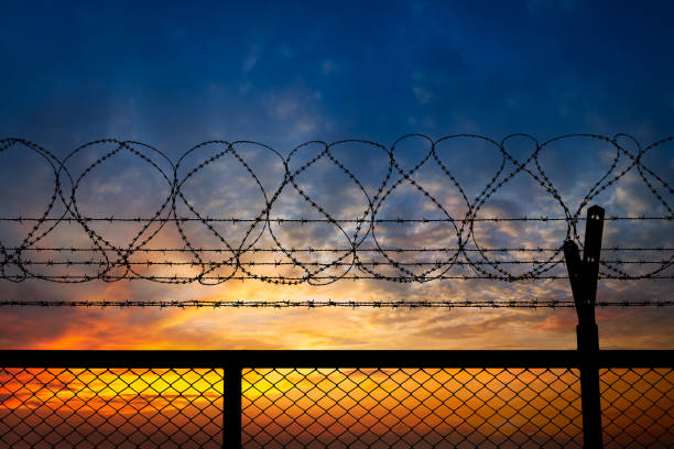 Silhouette of barbed wire fence on sunset background