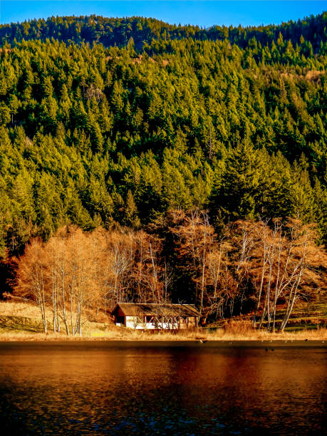 istock Cabin at Golden Hour 1061635014