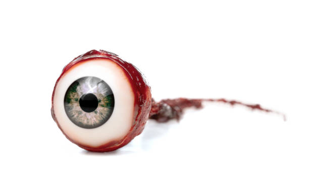Close up of ripped out eyeball Halloween prop, decoration. Close up of ripped out eyeball isolated on white background eyeball stock pictures, royalty-free photos & images