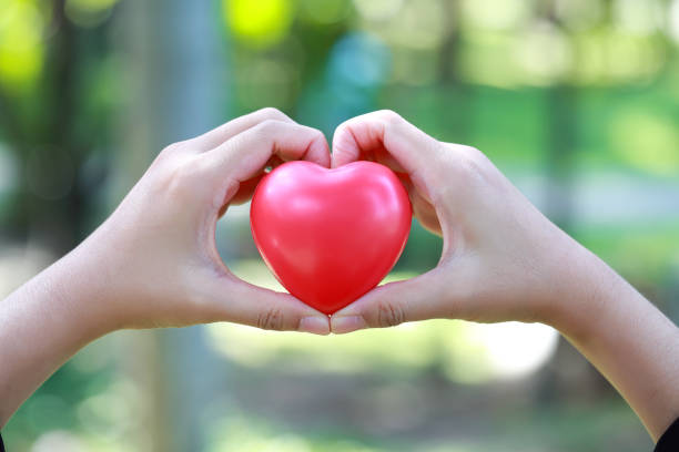 istock human hands doing heart symbol on nature background 1061642950