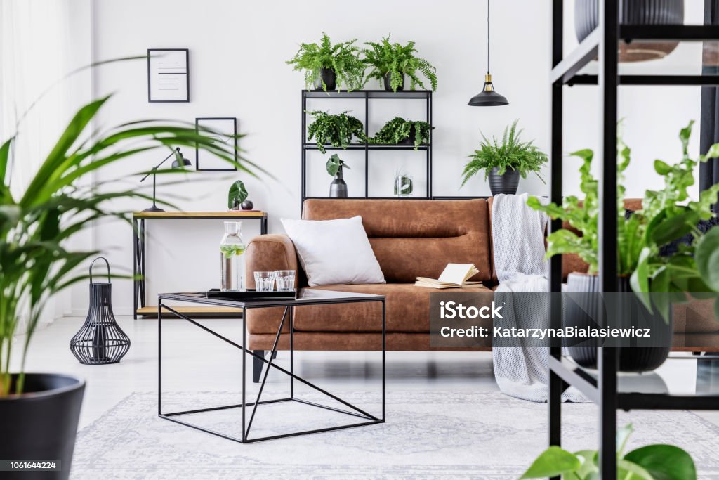 Urban jungle in modern living room interior with big comfortable leather couch and coffee table. Rainforest Stock Photo