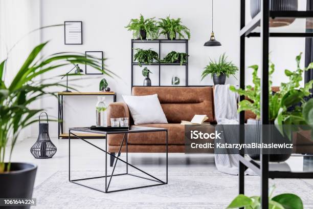 Urban Jungle In Modern Living Room Interior With Big Comfortable Leather Couch And Coffee Table Stock Photo - Download Image Now