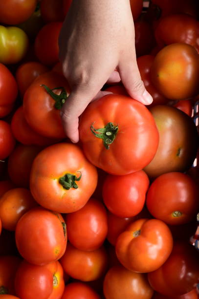 istock close up of red tomatoes 1061644938