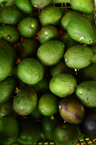 istock close up of fresh avocado 1061644994