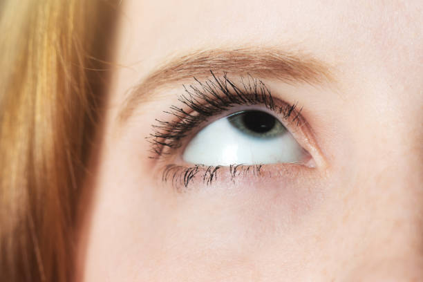 istock Single eye looking upward in close-up 1061645020