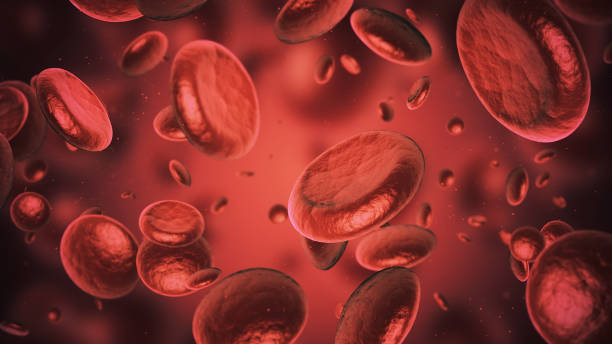 células do sangue - anemia - fotografias e filmes do acervo
