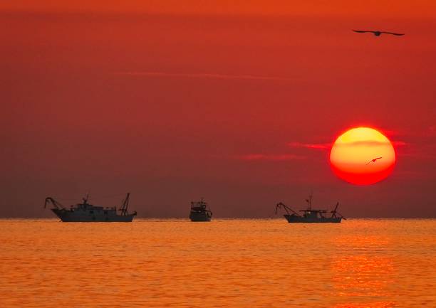 istock Sunrise on adriatic sea, Italy 1061646754