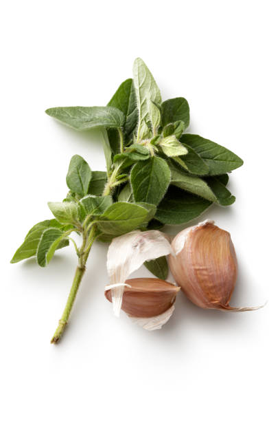 istock Seasoning: Oregano and Garlic Isolatedon White Background 1061648044