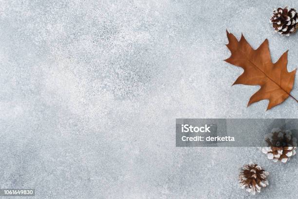 Autumn Dry Oak Leaves On A Gray Background Texture Subtext Stock Photo - Download Image Now