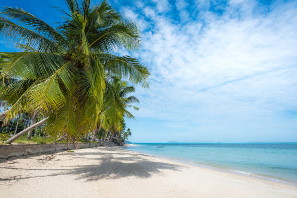 istock Tropical beach with coconut palm trees. 1061650772