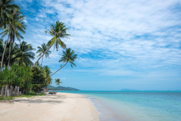 istock Tropical beach with coconut palm trees. 1061652430