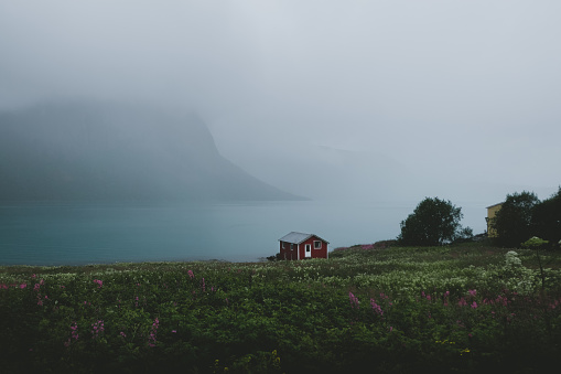 View of abandoned red house, sea and moody mountains on Senja island in Norway