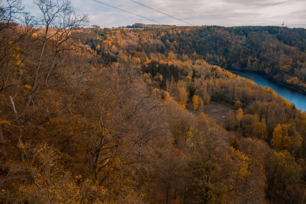 Rappbodetalsperre and Bode River in Harz Mountains National Park, Germany