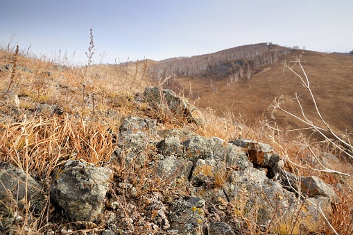 Shallow depth of field view of rock stones covered with lichen surrounded by yellow autumn grass on smooth hills in Khakassia, Russia
