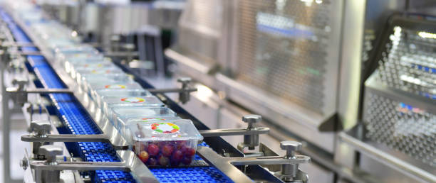 istock Food products boxs transfer on Automated conveyor systems 1061675814
