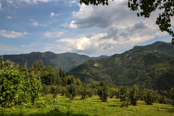 istock Macahel Valley in Eastern Black Sea, Artvin, Turkey 1061678456