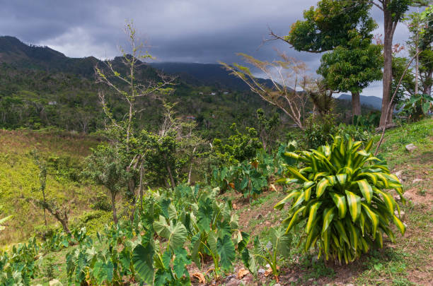 istock Storm on Mountain Horizon and Sunny Hillside 1061684912