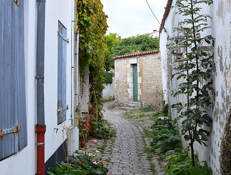 alley of the island of re