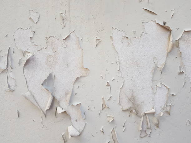 istock White Peeling Paint on Concrete texture 02 Background 1061688958