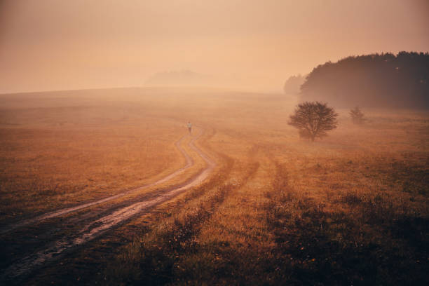 istock Runner in misty autumn morning 1061691916