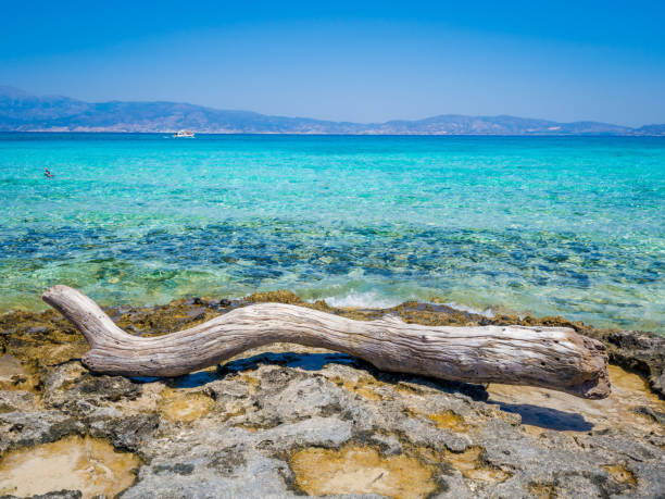 grecia, creta: spiaggia dorata nell'isola di chrysi, una delle spiagge selvagge e gorgeus del mondo. - chrissy foto e immagini stock