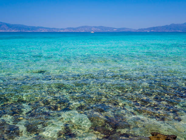 grecia, creta: spiaggia dorata nell'isola di chrysi, una delle spiagge selvagge e gorgeus del mondo. - chrissy foto e immagini stock