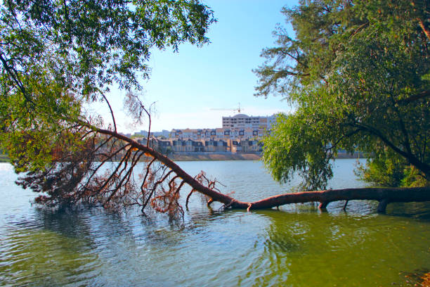 pins tombés dans l’eau avec vue sur plusieurs étages des maisons modernes sur la rive de la rivière - 11090 photos et images de collection