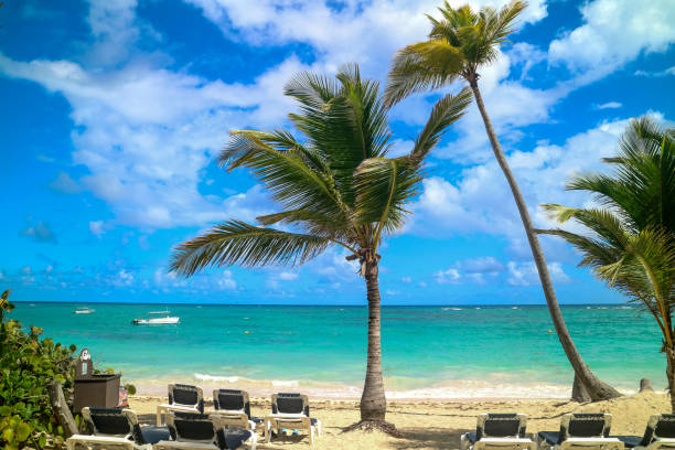 istock Palm trees and chairs over white sand beach 1061700366