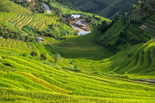 istock Rice terrace Mountains in Mu can chai, Vietnam 1061704138