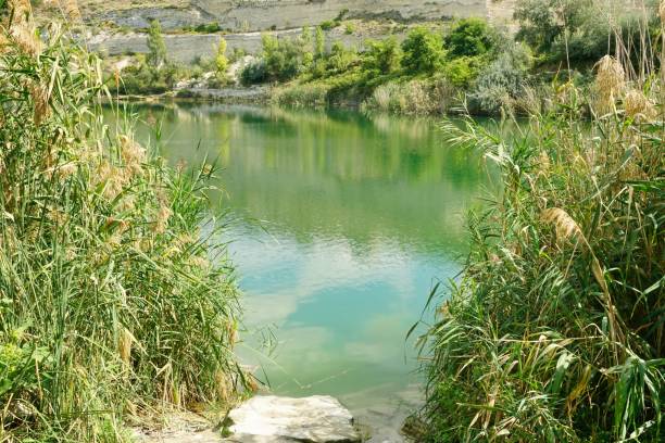 The shore of the lake and reflections Mountain lake in old quarries in Inkerman near Sevastopol inkerman stock pictures, royalty-free photos & images