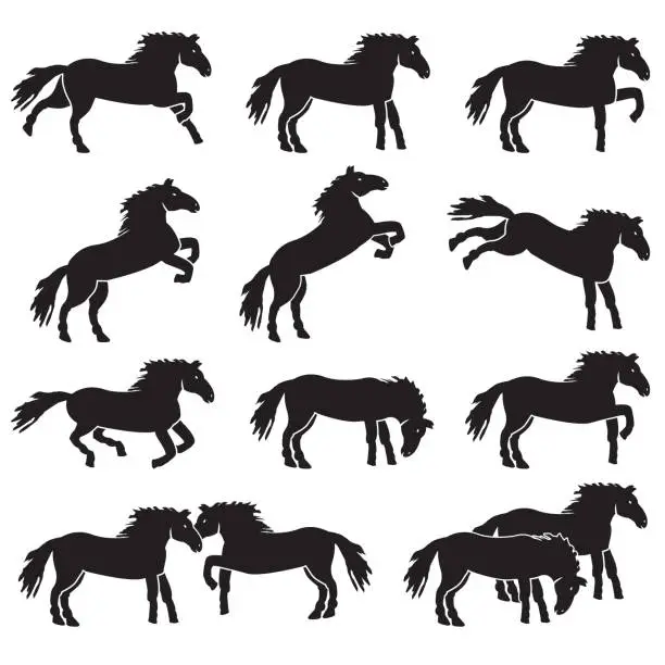 Vector illustration of Horse different poses icon set. Vector.