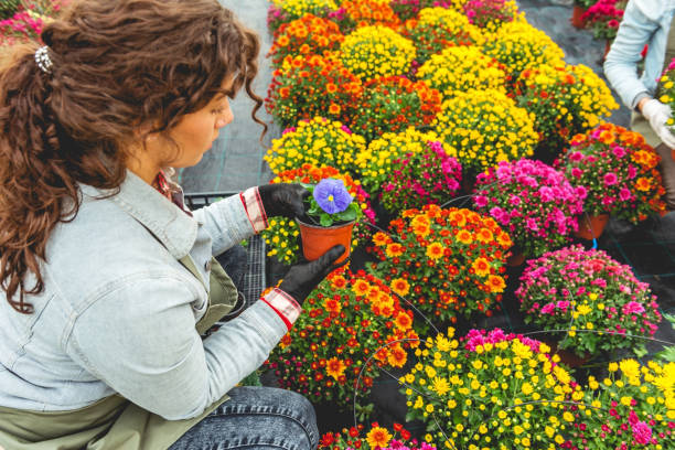 istock Checking the state of flowers 1061711646