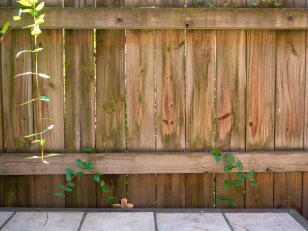 istock wooden fence 1061718776
