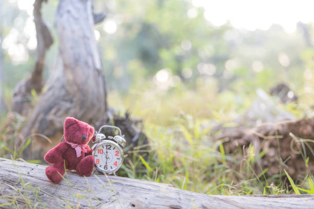 istock Teddy Bear doll And Retro Alarm Clock 1061719862