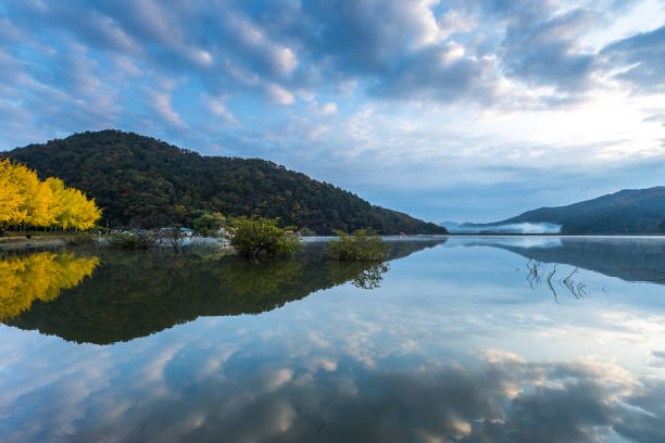 istock Vd737 Ginkgo way of Mungwon dike 1061723130