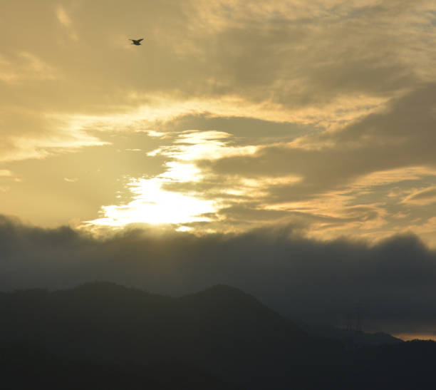 istock An eagle flying over montain in sunrise 1061725820