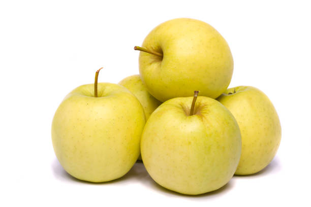 yellow ginger gold variety type apples