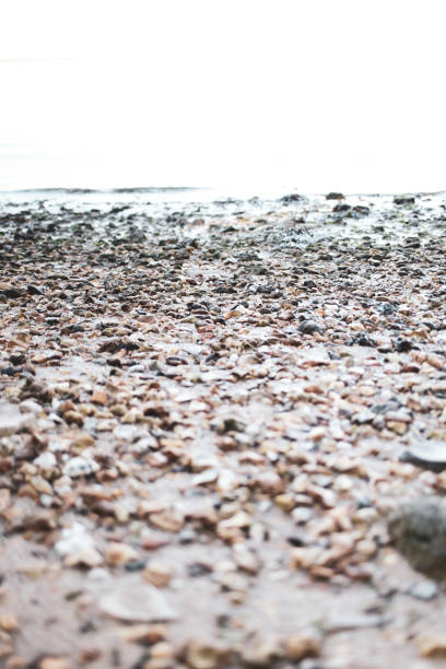 Pebble beach with shallow depth of field disappearing into a white background - easy for copy to sit on