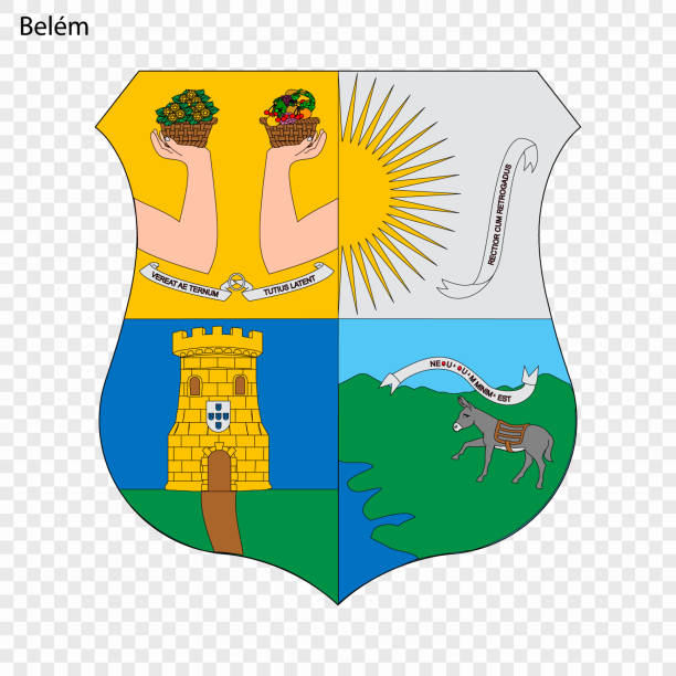벨렘의 국장 - lion coat of arms shield backgrounds stock illustrations