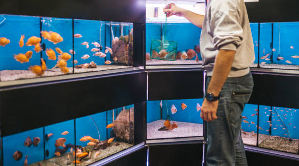 istock Aquarium shop 1061734336