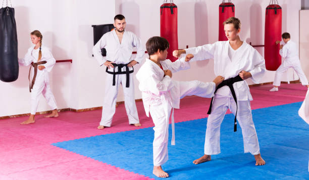 istock Children working in pair mastering new karate moves 1061738502
