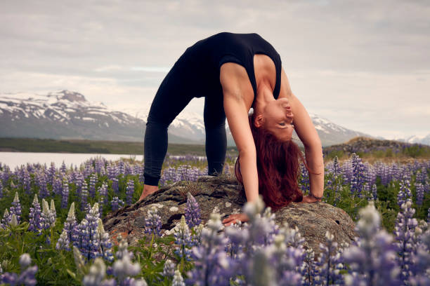 istock Wheel pose on a meadow full of lupines 1061738764