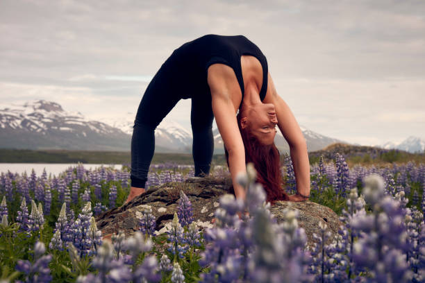 istock Wheel pose on a meadow full of lupines 1061738766