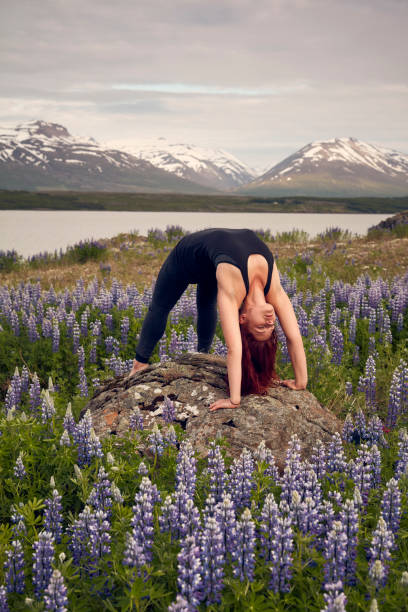 istock Wheel pose on a meadow full of lupines 1061738770
