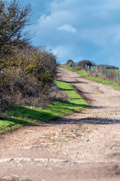 겨울 햇살에 사우스 다운스의 롤링 필드 잘라 통로 - dirt road national park south downs footpath 뉴스 사진 이미지