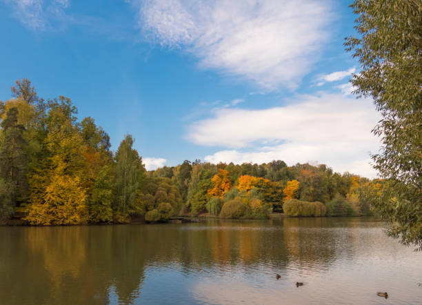istock Autumn foliage with water reflection natural landscape 1061742470