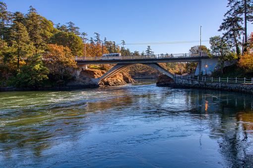 Horizontal image of fall colors along the Gorge Waterway as seen from Gorge Park in Esquimalt near Victoria, British Columbia, Canada. Tillicum Road Bridge crosses the gorge at his point.