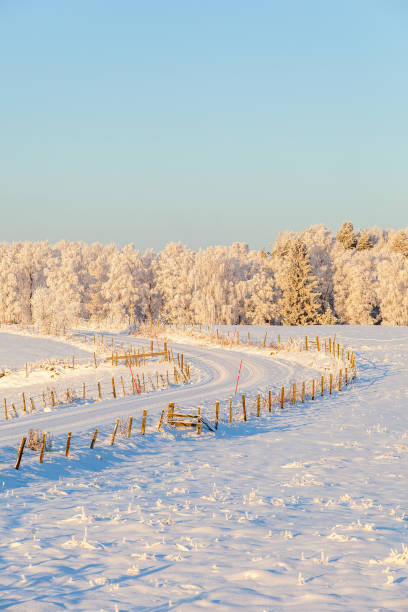 istock Rural winter landscape with a dirt road curve 1061749306