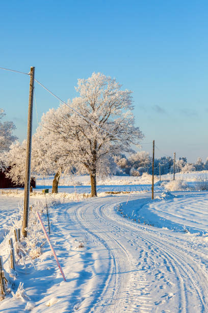 istock Curvy winter road in the countryside 1061749314